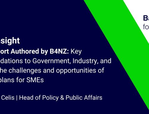 A TPT Report Authored by B4NZ: Key recommendations to Government, Industry, and SMEs, on the challenges and opportunities of transition plans for SMEs