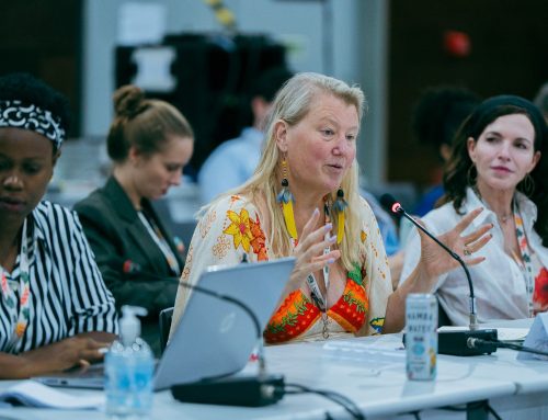 COP30 Reflections: A Critical Moment for SMEs, Emerging Markets, and Inclusive Climate Action